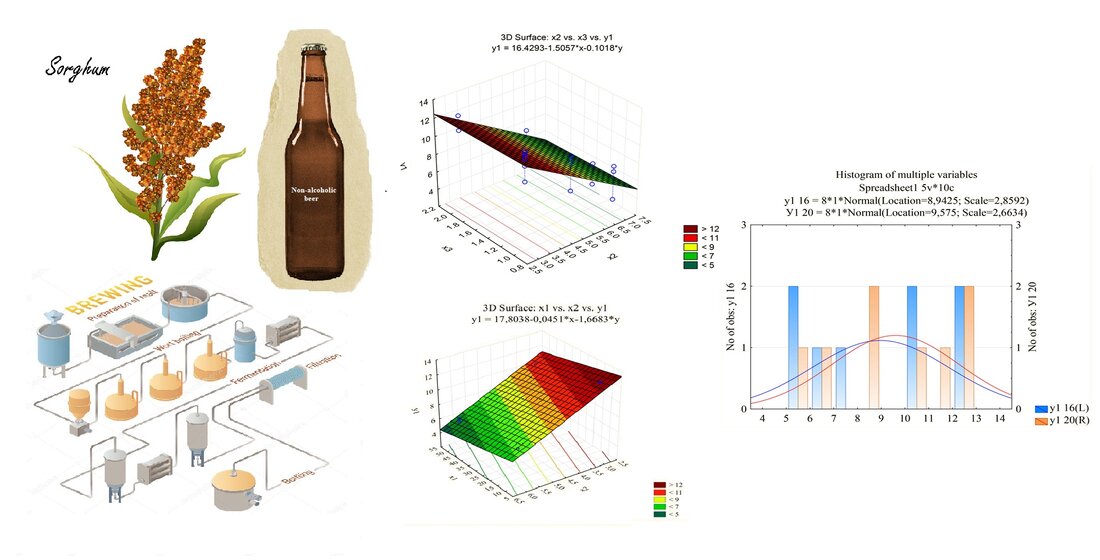 The impact of grain sorghum on the carbohydrate composition of wort for non-alcoholic beer