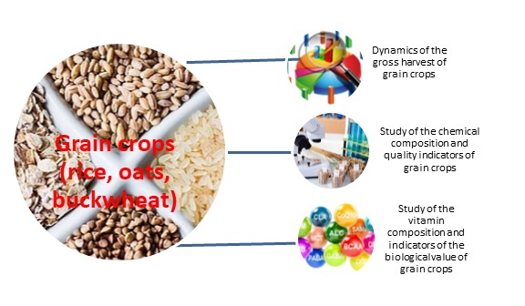 Justification of the selection of cereal crops for the production of new cereal beverages
