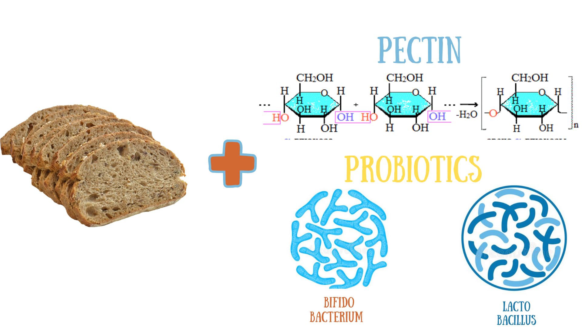 Experimental substantiation of the application of plant extracts and enzymes to obtain safe raw materials for whole grain bread technology