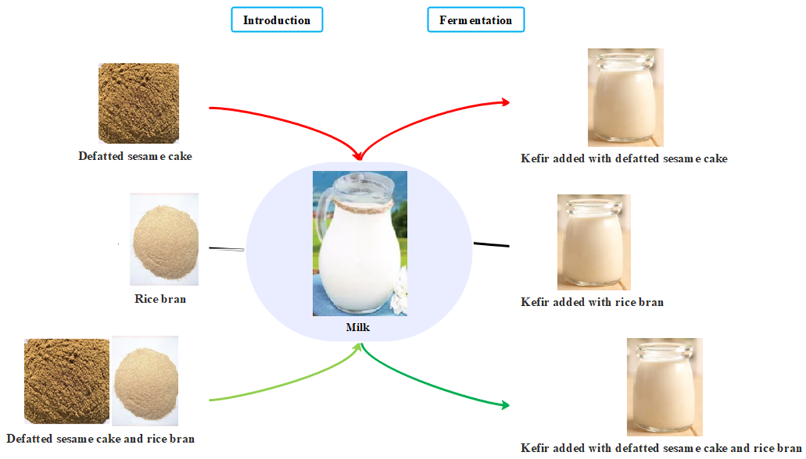 Optimization of technical and technological indicators of kefir added with defatted sesame flour and rice bran