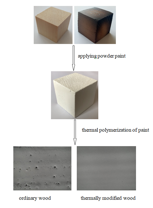 Determining patterns in the formation of a polymer shell by powder paint on wood surface