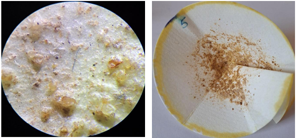 Exploring the composition of propolis as a subject of processing into food products