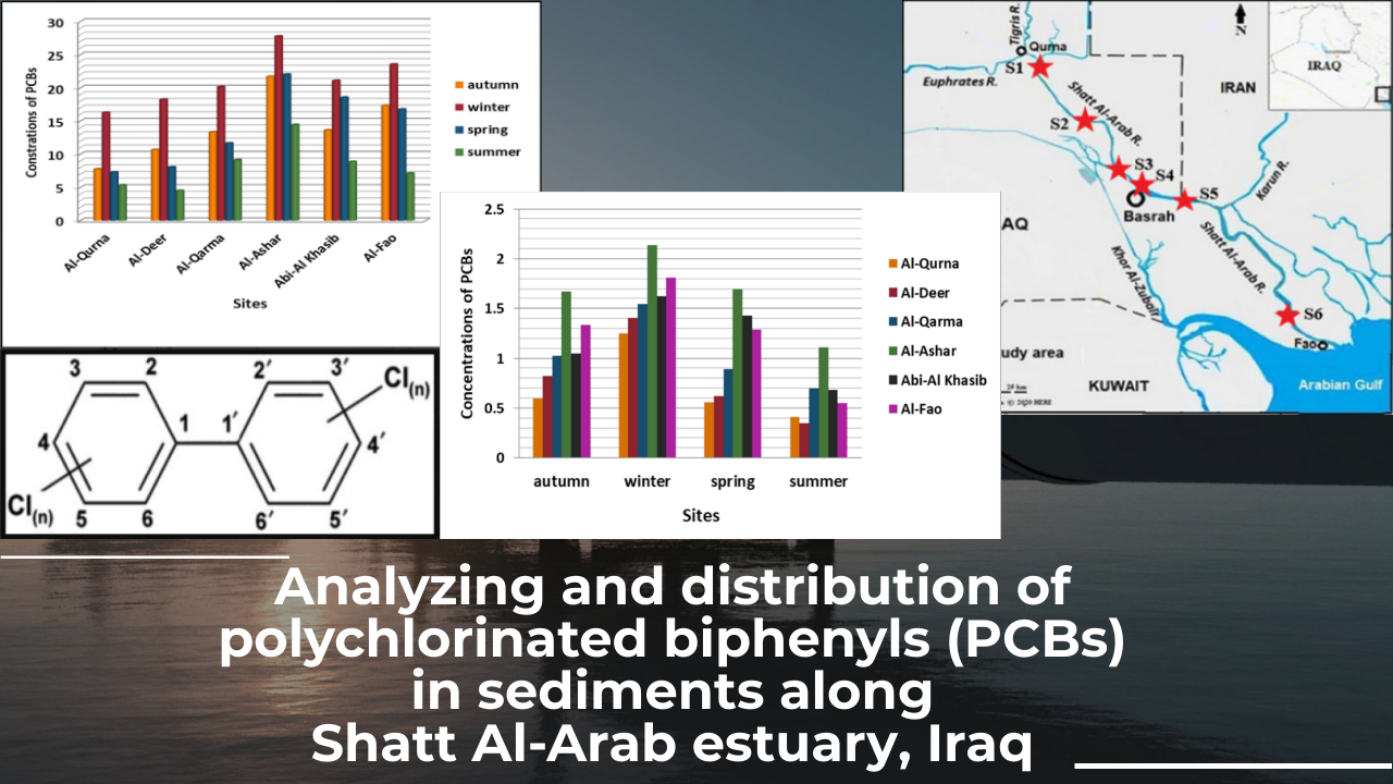 Analyzing and distribution of polychlorinated biphenyls (PCBs) in sediments along Shatt Al-Arab estuary, Iraq