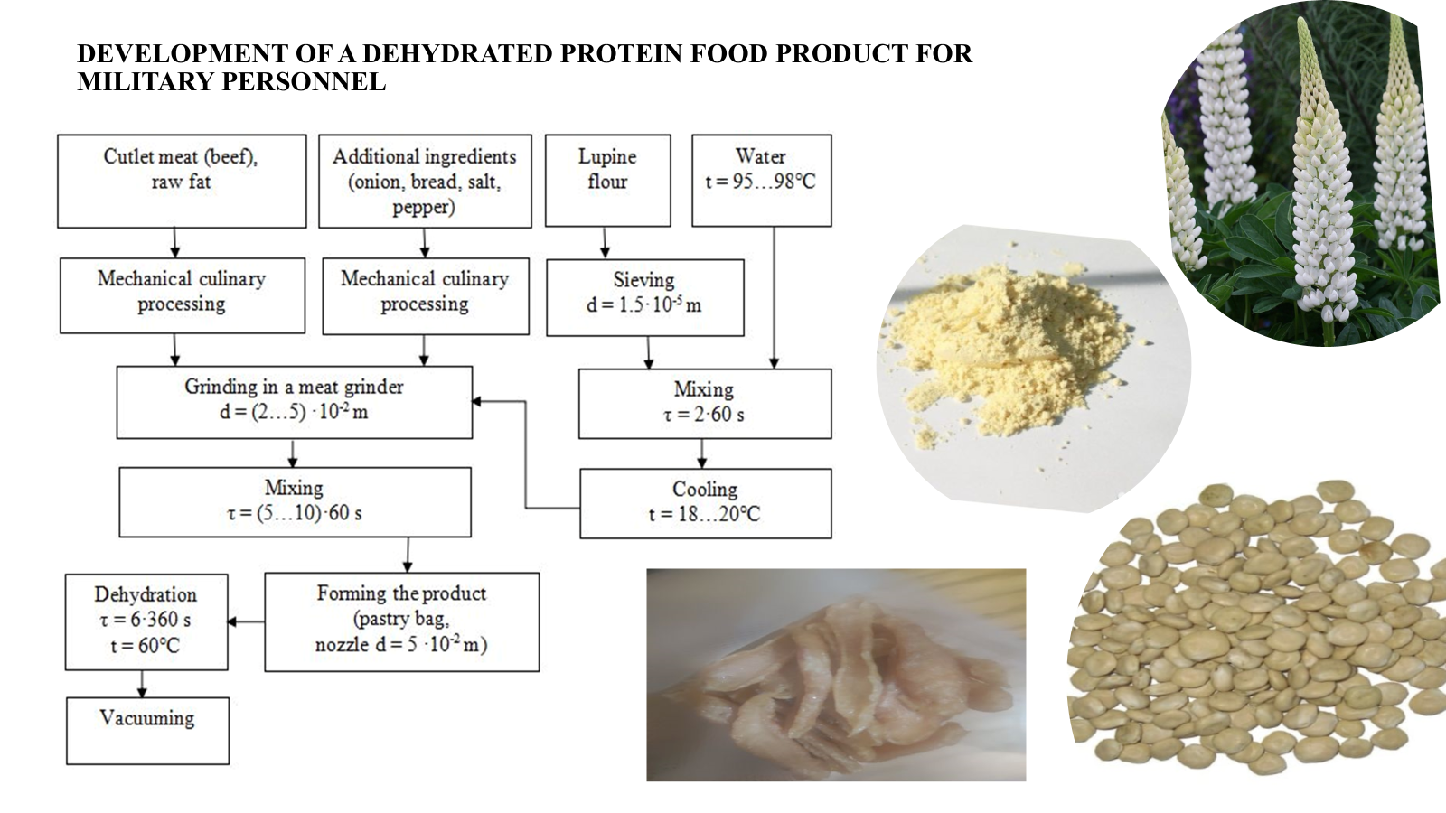 Development of a dehydrated protein food product for military personnel