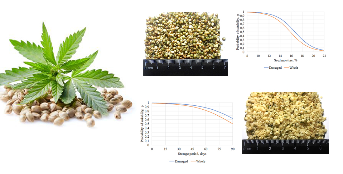 Determination of the influence of moisture of dehulled hemp seed kernels on storage quality indicators