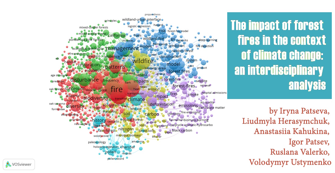 The impact of forest fires in the context of climate change: an interdisciplinary analysis