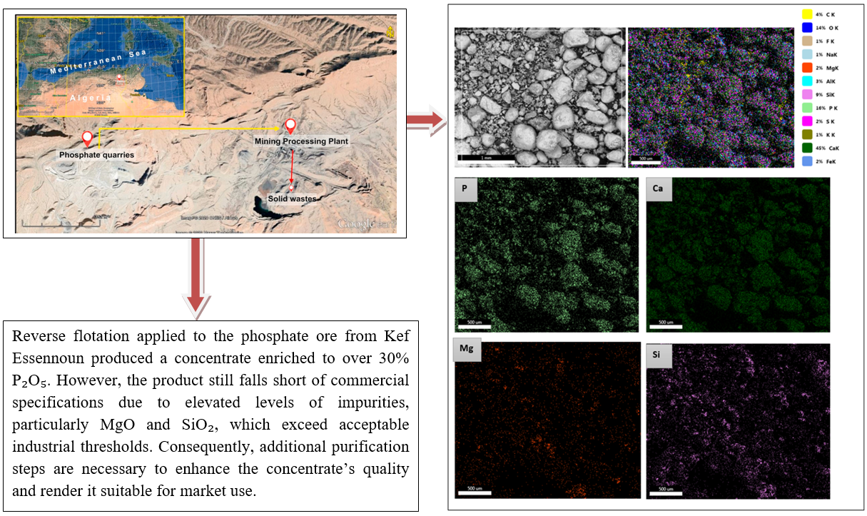 Characterization and development of beneficiation prospects of sedimentary phosphate ore from the Kef Essenoun deposit (Algeria) by reverse flotation