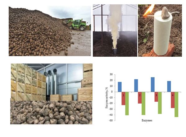 Identification of patterns in sugar beet storage conditions depending on enzymatic activity