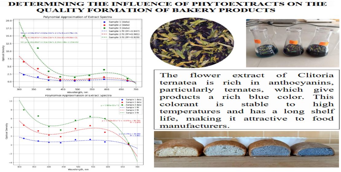 Determining the influence of phytoextracts on the quality formation of bakery products