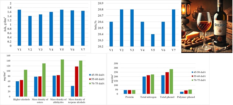 Determining the influence of some factors on improving the quality of Sherry wine material