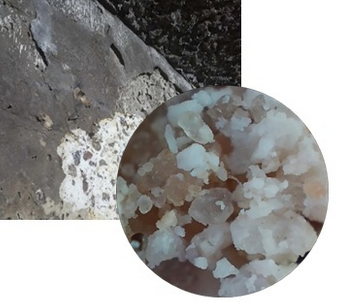 Визначення технічного стану очисної споруди на хімічному підприємстві