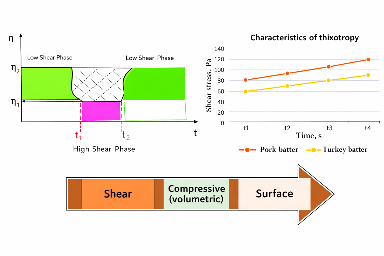 Improvement of the model of structural-mechanical and thixotropic properties of meat batters