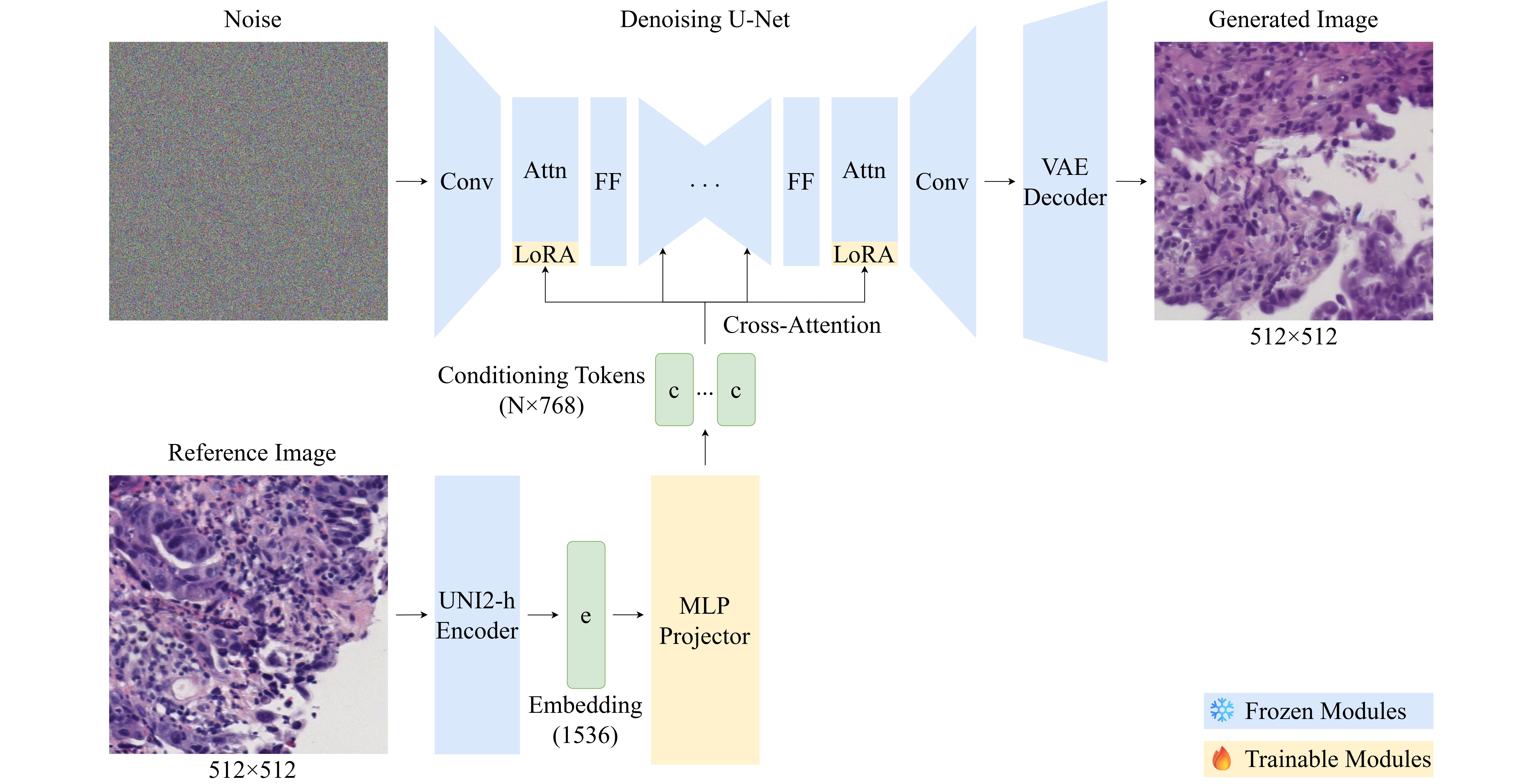 Development of a parameter-efficient method for biomedical image synthesis by substituting text conditioning with pathology foundation model embeddings in latent diffusion