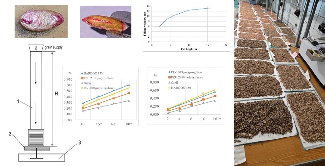 Quantitative assessment of wheat mechanical injury during free fall in transport and processing lines