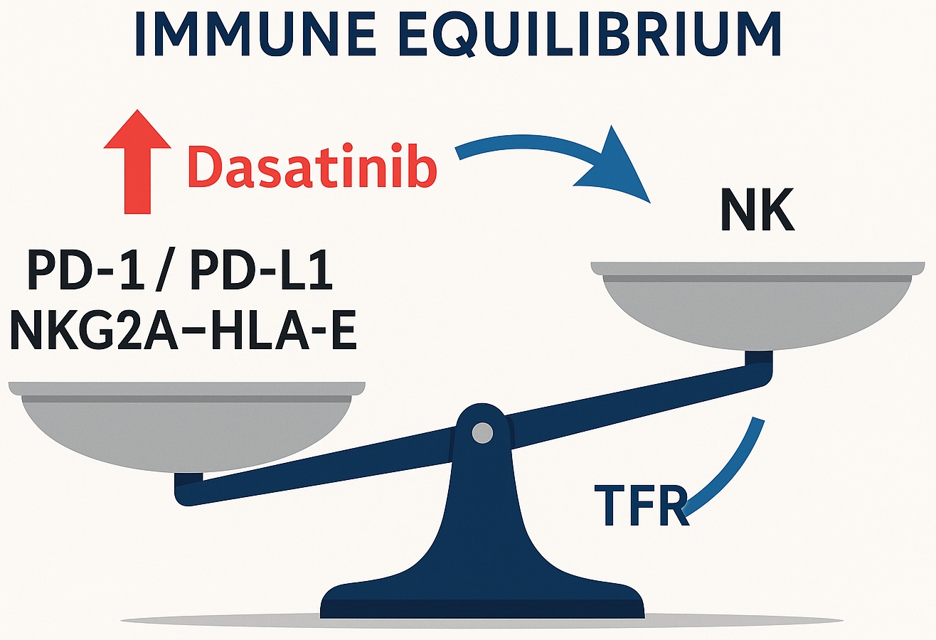 Clinical, hematological, and immunological aspects of chronic myeloid leukemia: from molecular mechanisms to functional recovery