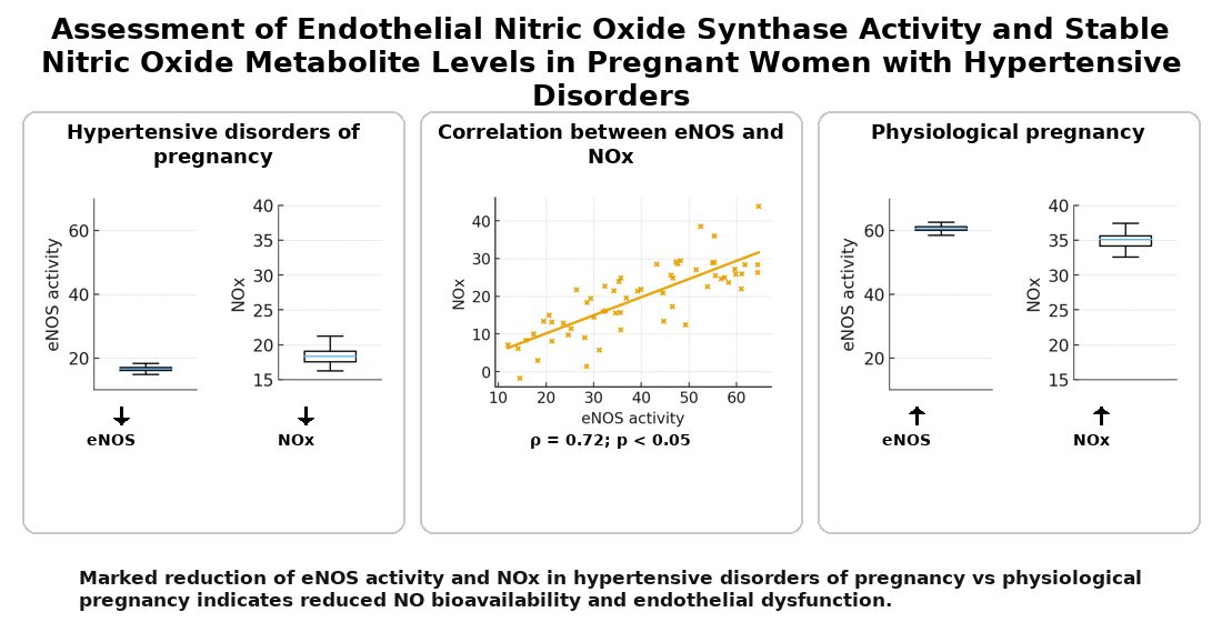 Assessment of endothelial nitric oxide synthase activity and stable nitric oxide metabolite levels in pregnant women with hypertensive disorders