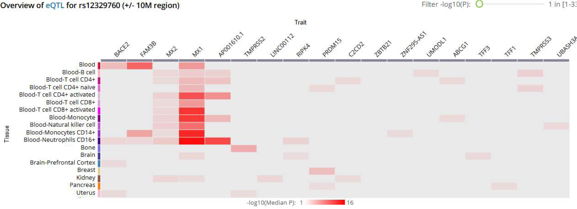 eQTL-driven tissue-specific modulation by TMPRSS2 (rs12329760) and its potential role in COVID-19 susceptibility