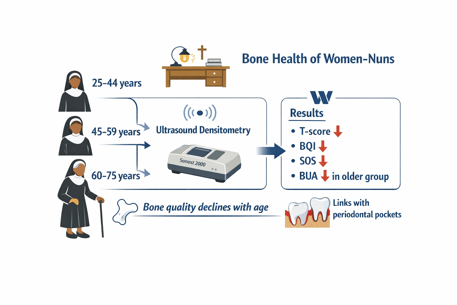 Bone tissue status in women-nuns: age-related features and correlational analysis