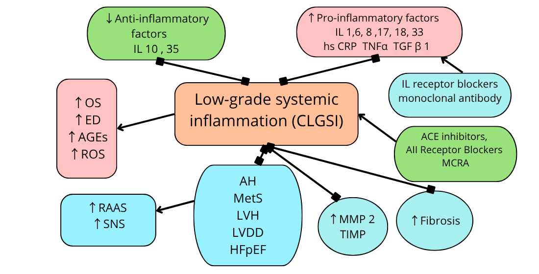 Proinflammatory humoral factors and their role in the pathogenesis of left ventricular hypertrophy in hypertension (literature review)