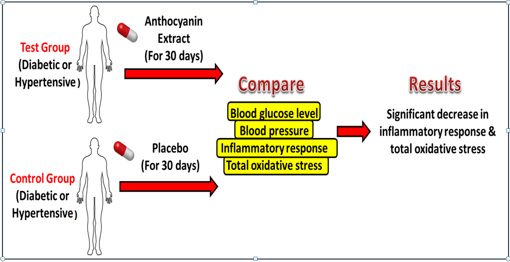 Anti-inflammatory activity of anthocyanin extract on diabetic and hypertensive patients