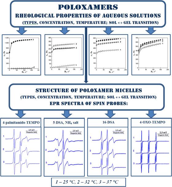 Study of aqueous solutions of poloxamers by rotational viscometry and spin probe method
