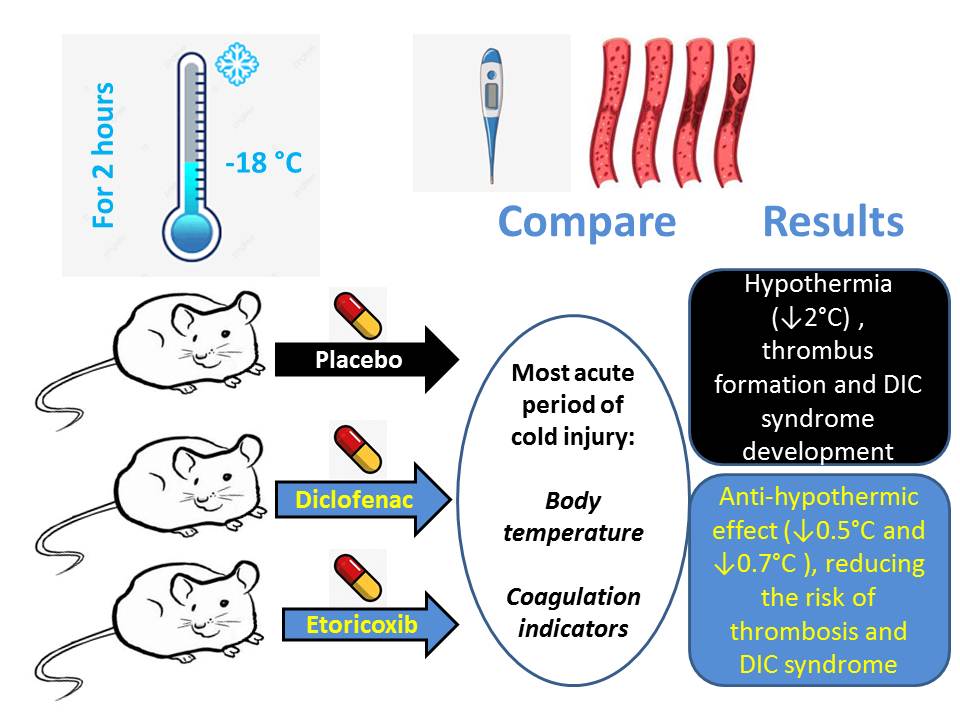 Effects of non-steroidal anti-inflammatory agents on systemic hemostasis during the most acute period of cold injury in rats