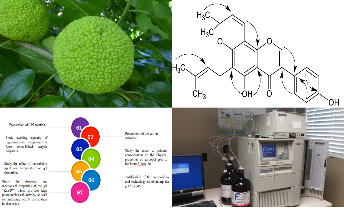 Development of antifungal gel, composition and technology based on pomiferin metabolite isolated from fruits of Maclura aurantiaca growing in Kazakhstan