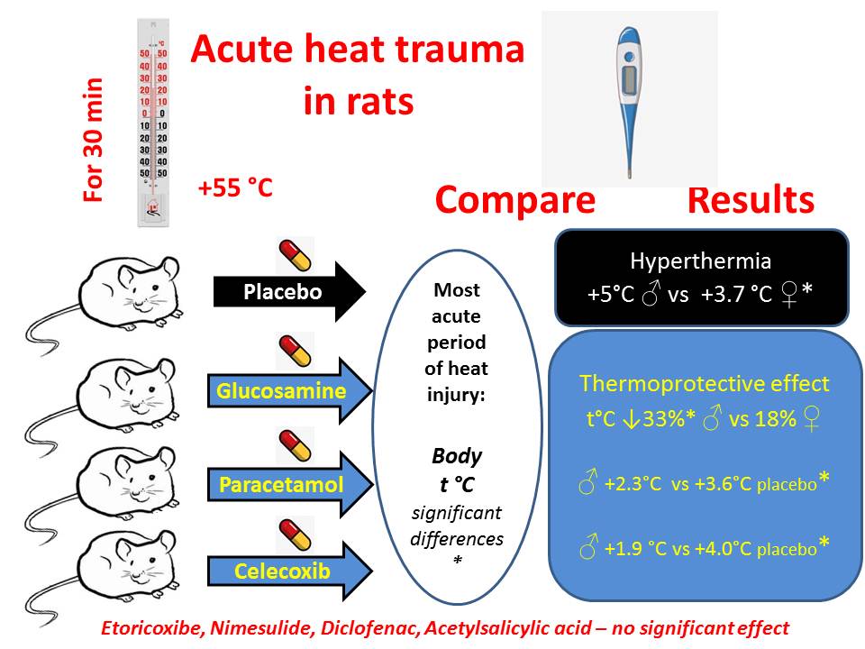 Модель гострої теплової травми в щурів, залежність терморезистентності від статі та скринінг потенційних термопротекторів