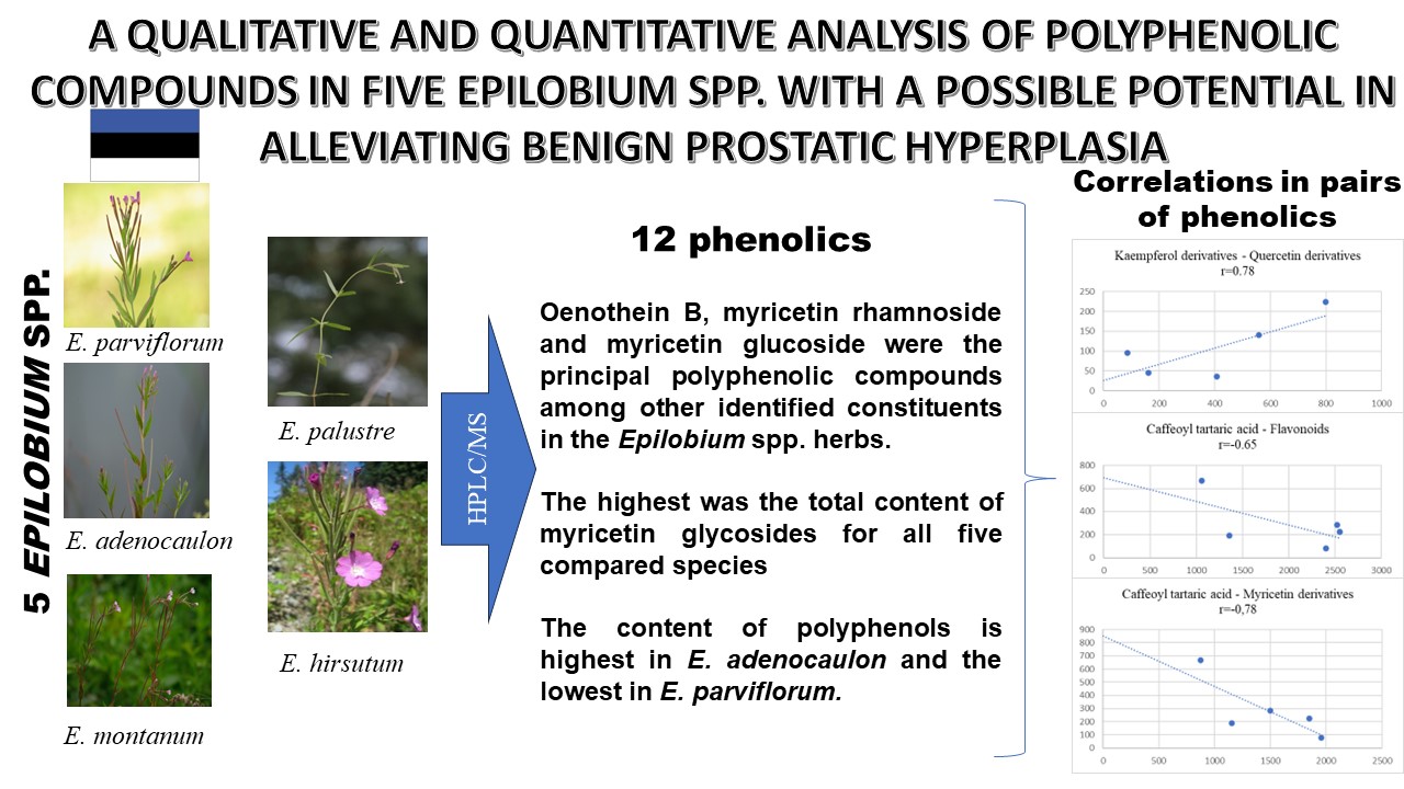 A qualitative and quantitative analysis of polyphenolic compounds in five Epilobium spp. with a possible potential to alleviate benign prostatic hyperplasia