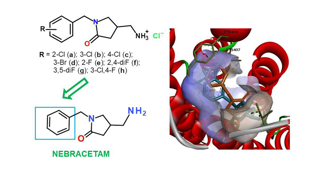 Synthesis and nootropic activity prediction of some 4-(aminomethyl)-1-benzylpyrrolidin-2-one derivatives structurally related with nebracetam