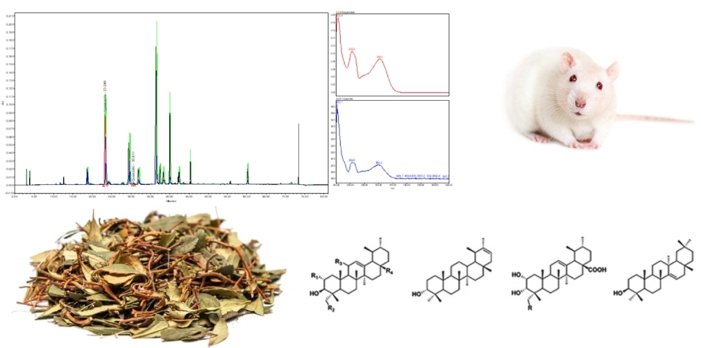 Study of phenolic compounds of umbellate wintergreen herb and their influence on biochemical indicators of blood and urine in the rat model of chronic kidney disease