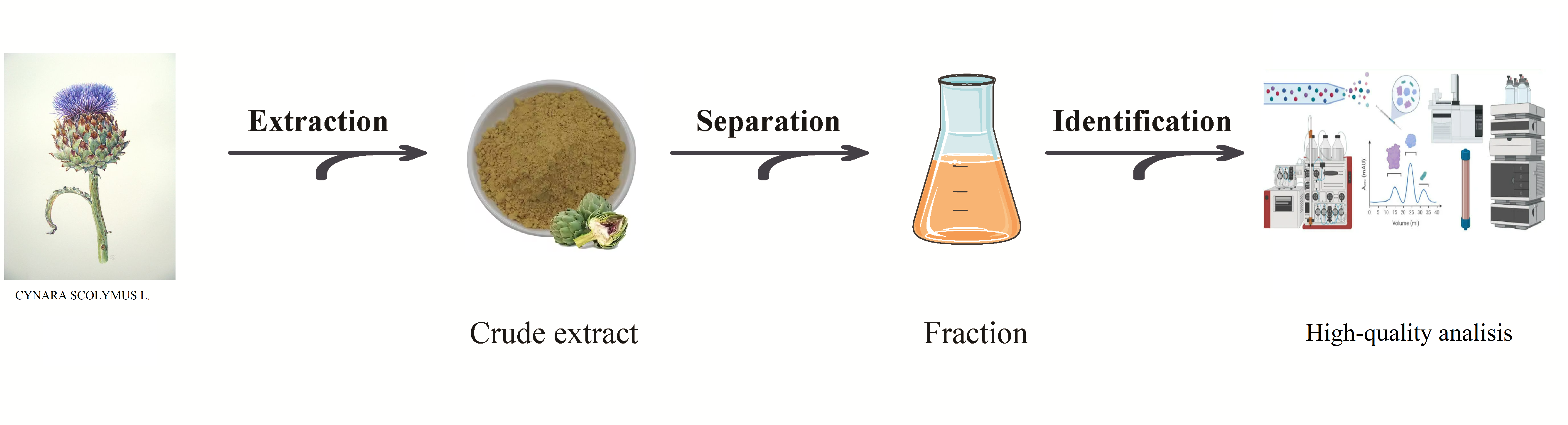 High-quality analysis of dry extract of prickly artichoke raw material (Cynara Scolymus L.) cultivated in Uzbekistan