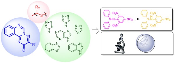 [1,2,4]триазино[2,3-c]хіназолінові гібриди з азольними та азиновими гетероциклами: дизайн, синтез, антибактеріальна та антирадикальна активність.
