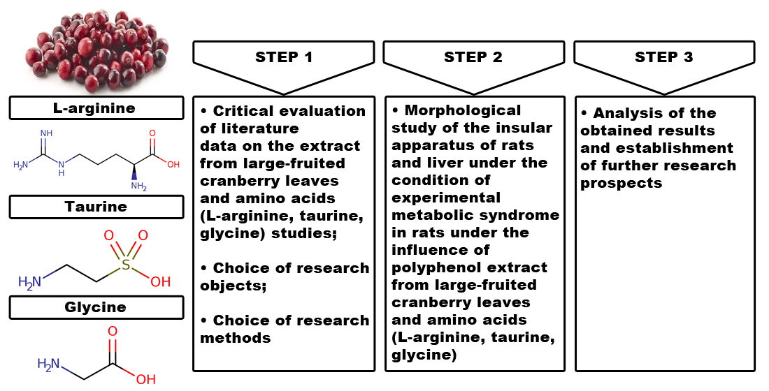 Вплив нової фітокомпозиції на основі поліфенольного екстракту з листя журавлини великоплідної та амінокислот на стан підшлункової залози та печінки щурів за умови експериментального метаболічного синдрому 