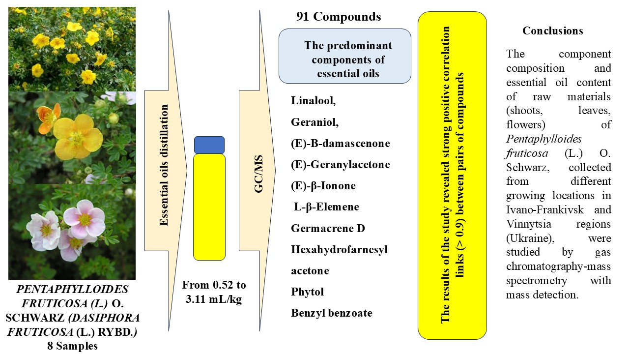 Дослідження компонентного складу ефірних олій з сировини Pentaphylloides fruticosa (L.) О. Schwarz (Dasiphora fruticosa (L.) Rybd.)