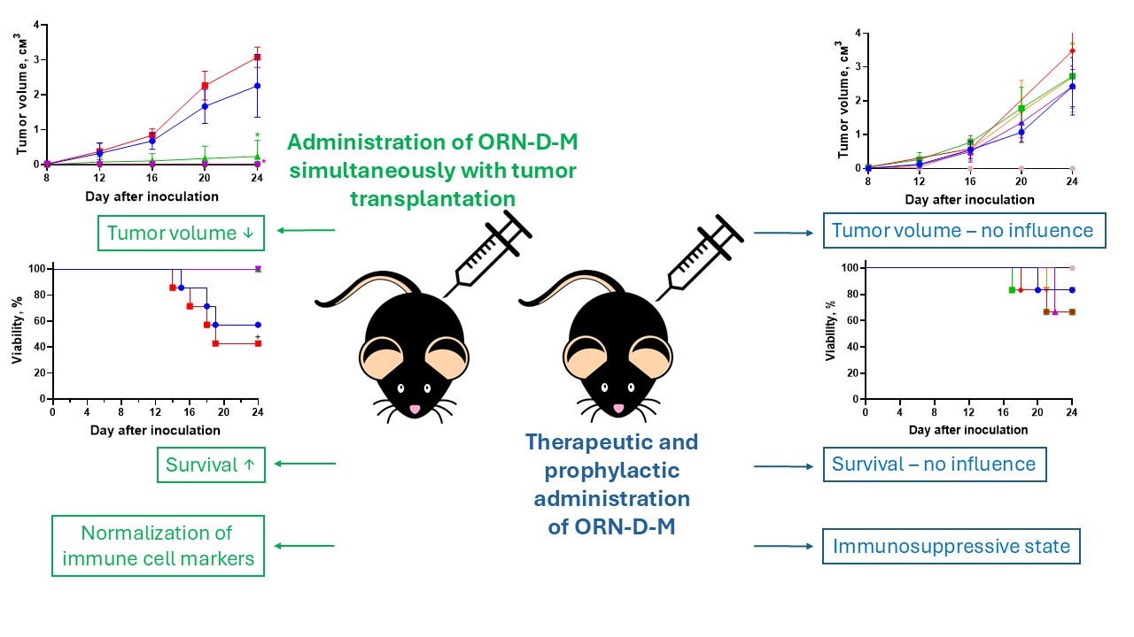 Вплив природних олігорибонуклеотидів у комплексах з D-манітолом на ріст пухлин та експресію маркерів імунних клітин в моделі меланоми миші В16