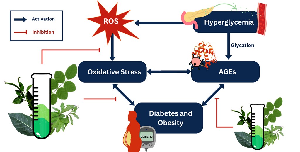 Комбіновані метанольні екстракти вибраних лікарських рослин південних Філіпін як потенційний терапевтичний засіб для лікування діабету та ожиріння