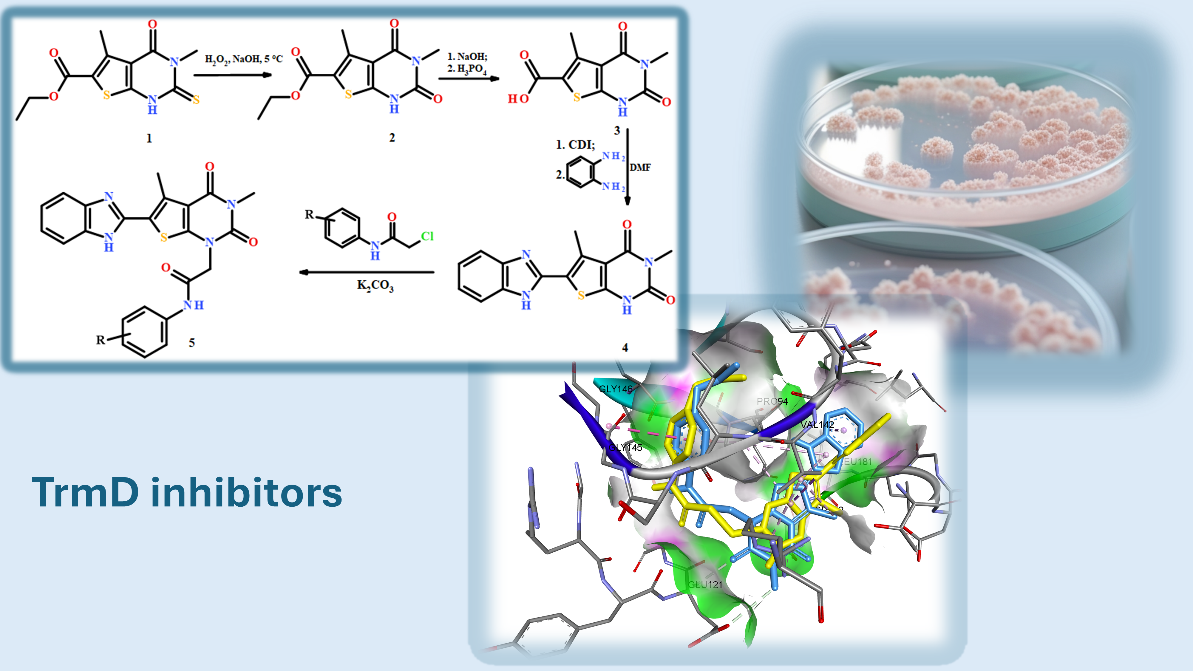 Bioisosteric replacement in the search for antimicrobial agents: design, synthesis and activity of novel 6-(1h-Benzimidazol-2-yl)-1-alkyl-3,5-dimethylthieno[2,3-d]pyrimidine-2,4(1h,3h)-dione derivatives