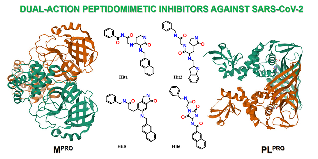 Targeted structural design of molecular scaffolds for dual-action peptidomimetic inhibitors against SARS-CoV-2 MPRO and PLPRO
