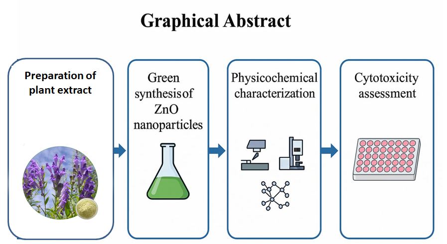 Morphological and size characterization of zinc oxide nanoparticles and evaluation of their cytotoxicity on the MCF-7 cell line