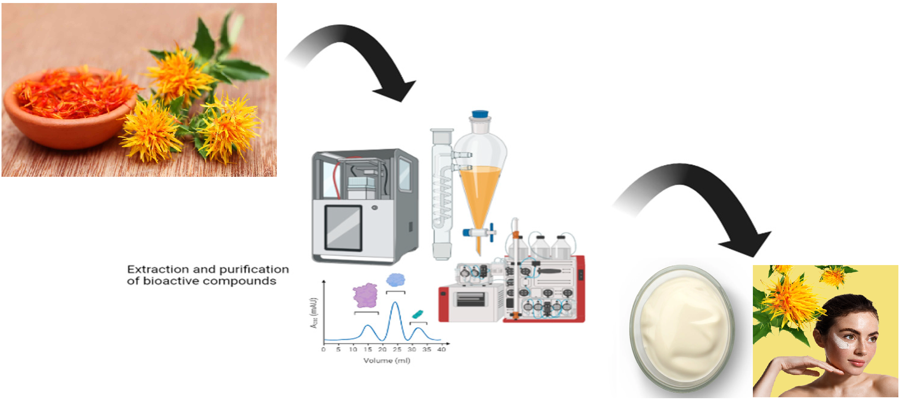 Pharmaceutical cream with Carthamus tinctorius L. extract: formulation and evaluation