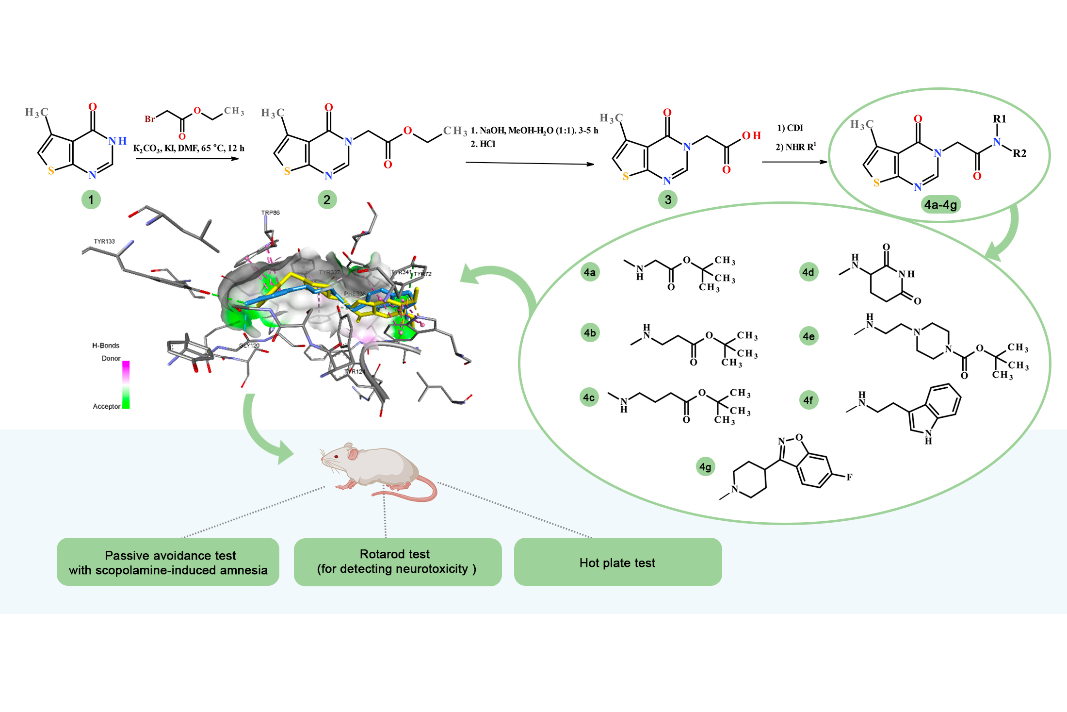 Acetylcholinesterase-targeted biogenic–thienopyrimidine hybrids: design, synthesis and pharmacological evaluation of compounds with anti-amnestic, anxiolytic-like and pain-modulating properties