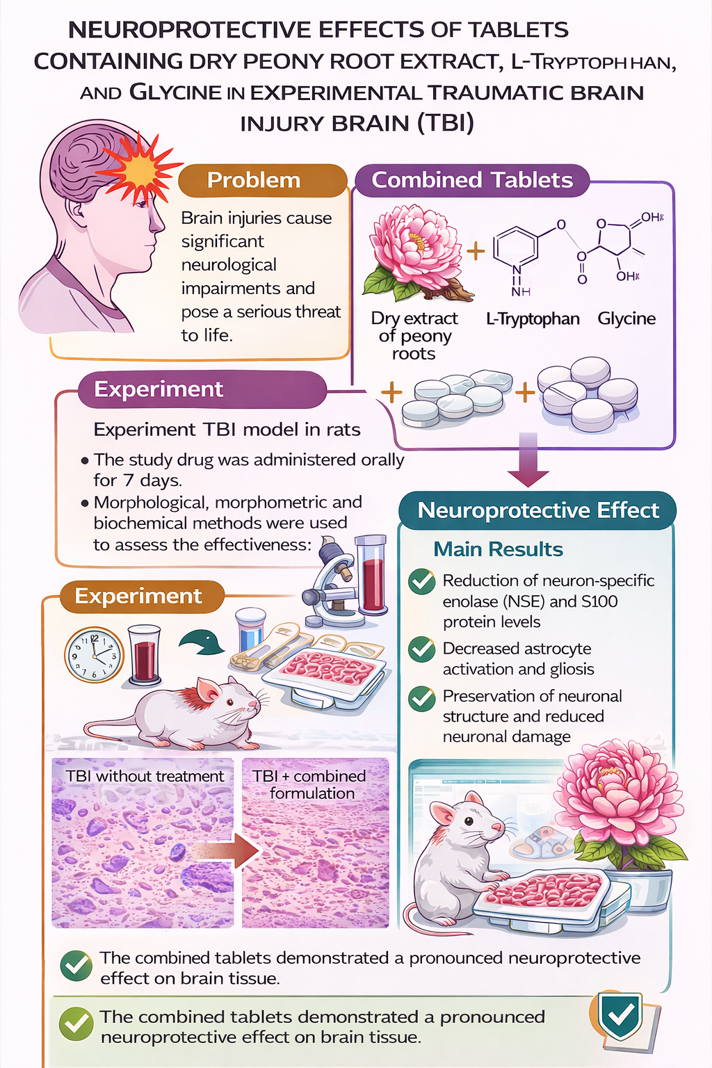 The effect of tablets containing dry extract of peony roots, L-tryptophan, and glycine on the condition of the brain in the context of experimental cranio-cerebral trauma