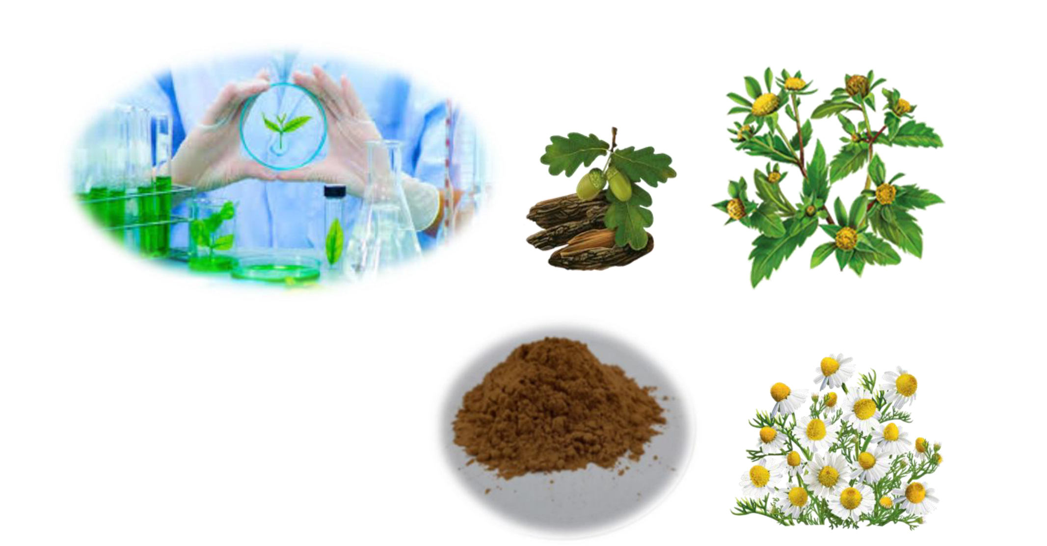 Application of the method of mathematical planning for the selection of auxiliary components for the creation of a functional-purpose medicinal and cosmetic product