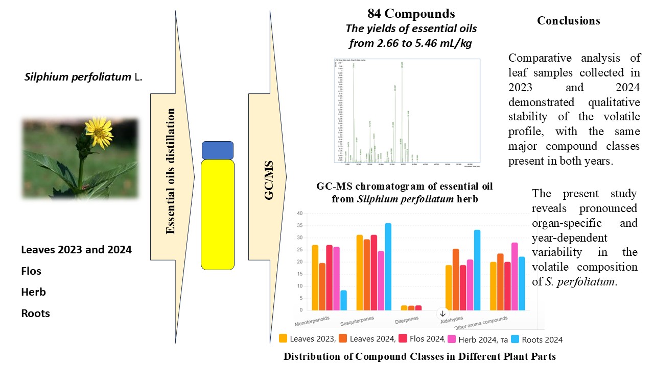Research in component composition of essential oils from various organs of Silphium perfoliatum L.