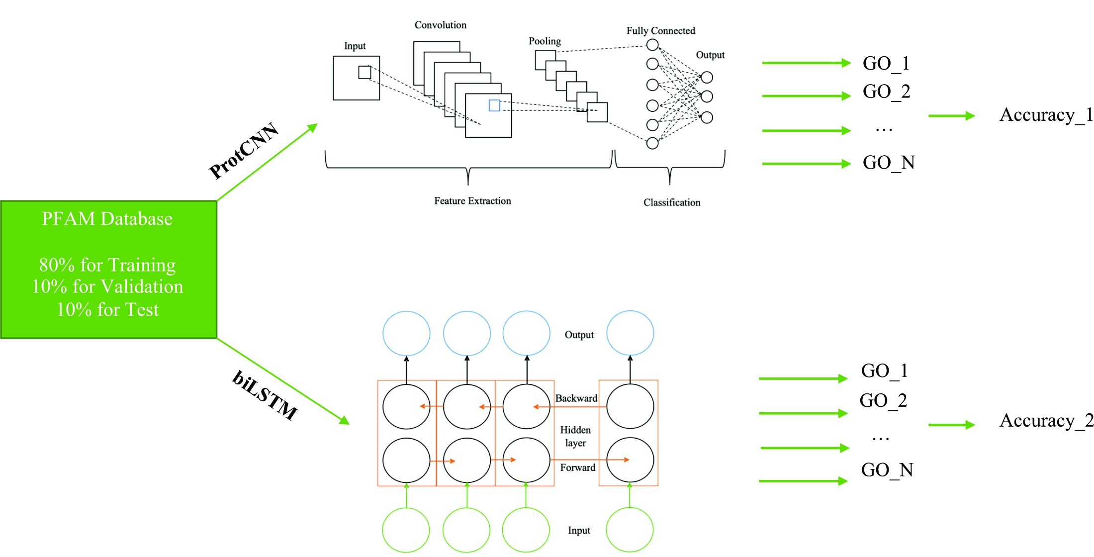 Реалізація моделей машинного навчання для визначення відповідної моделі передбачення функцій білків 
