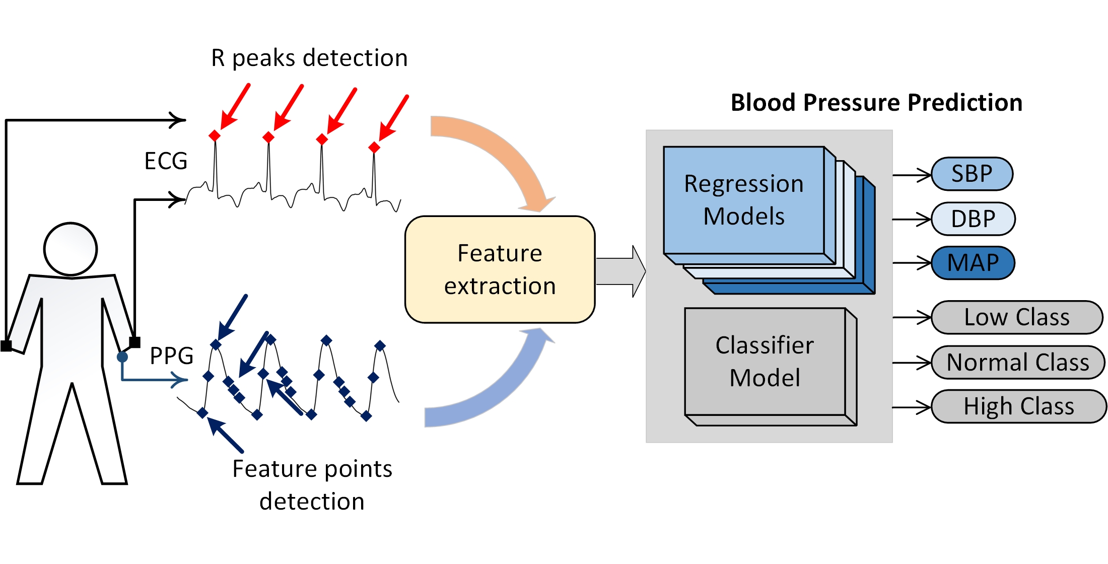 Devising a method for predicting a blood pressure level based on electrocardiogram and photoplethysmogram signals