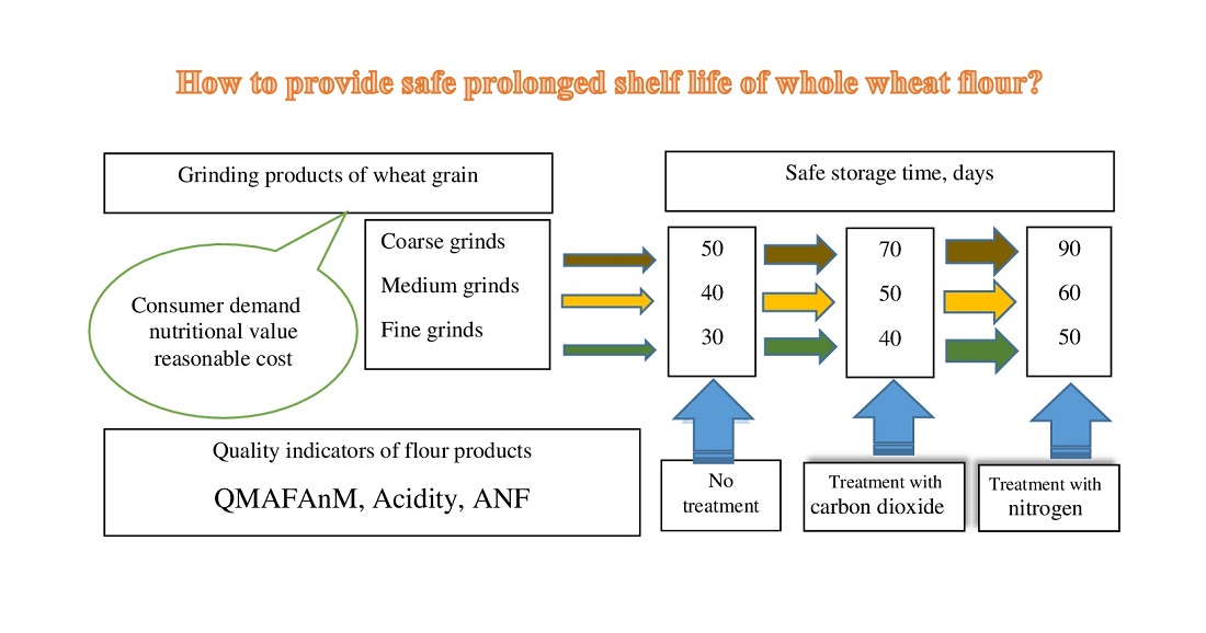 Justification of safe shelf life of whole wheat flour of various sizes, depending on the processing method