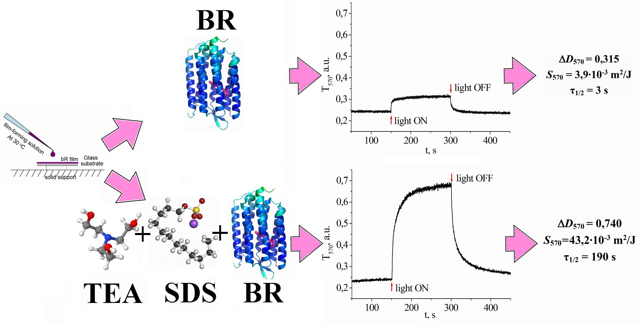 Design of chemically modified bacteriorhodopsin films for information protection systems