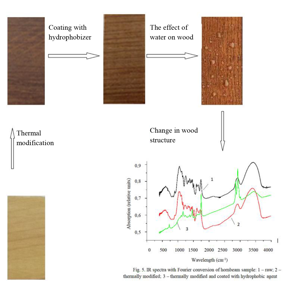 Identifying parameters for wood protection against water absorption 